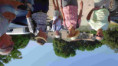/album/ee-juin-2025-rando-repas-a-st-hippolyte/f-112-jpg/